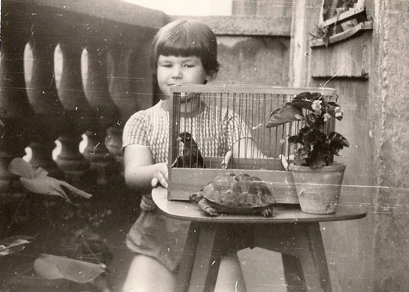 Iskra s kornjačom i kanarincem